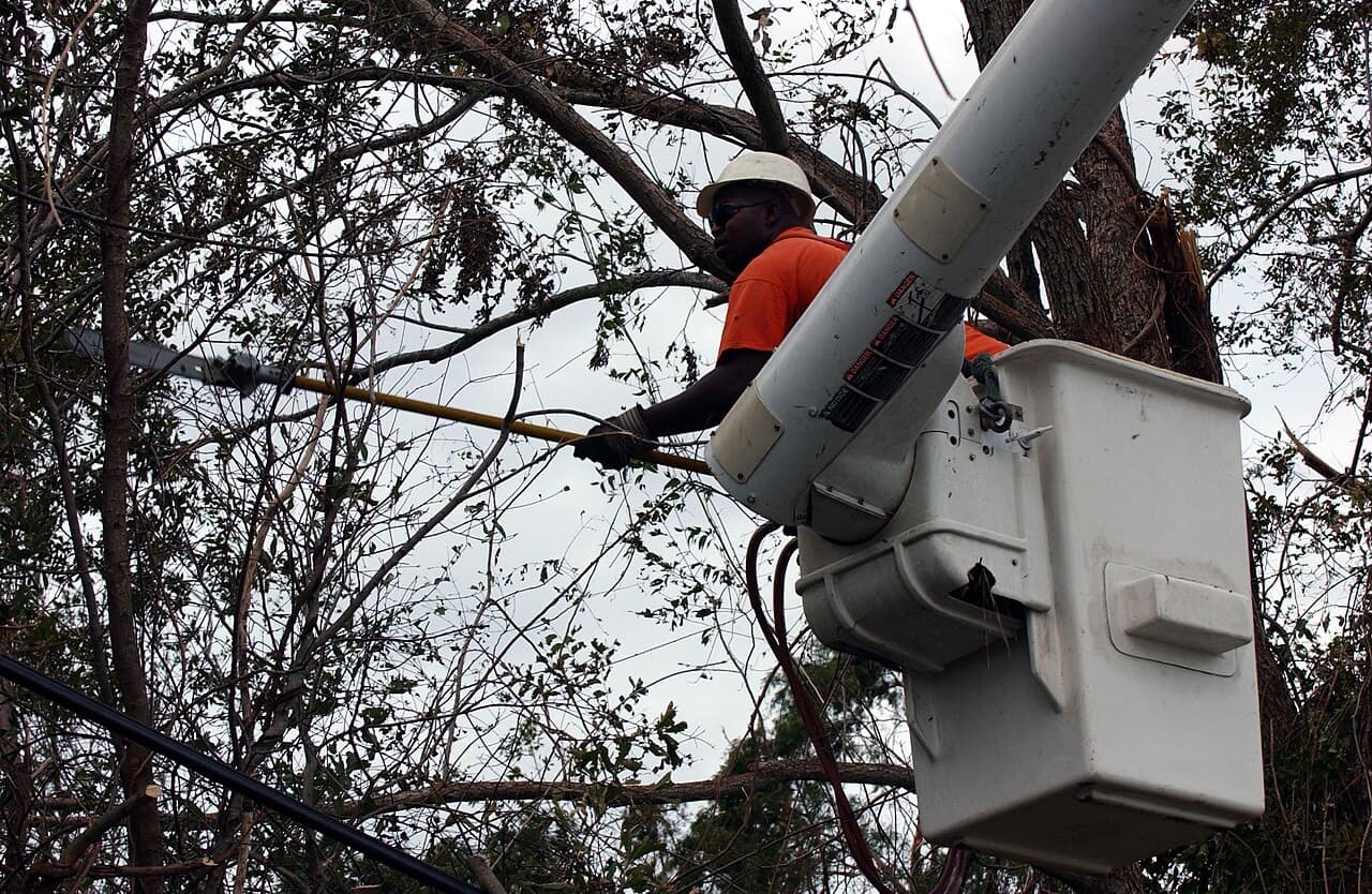 A tree trimmer in a hard hat cutting branches with a pole saw from a bucket truck